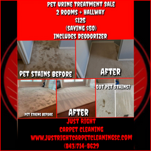 Load image into Gallery viewer, Pet Urine Treatment Sale 2 rooms,Hallway+Deodorizer