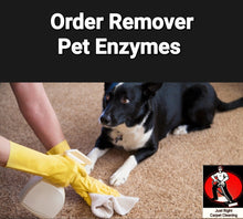 Load image into Gallery viewer, Pet Treatment/ Enzyme Treatment $20 "Per Room"