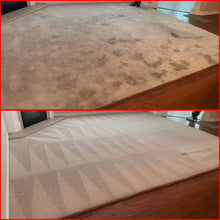 Load image into Gallery viewer, Pet Urine Treatment Sale 2 rooms,Hallway+Deodorizer