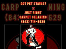 Load and play video in Gallery viewer, Pet Treatment/ Enzyme Treatment $20 "Per Room"