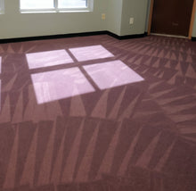 Load image into Gallery viewer, 20241115_114218_resized.jpg
