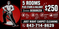 5 room carpet Cleaning stairs hallway Deodorizer $250