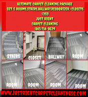 Ultimate Carpet Cleaning Package 
5 rooms stairs hallway closets. $250