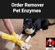 Deodorizer/ Odor Remover/ Per Room