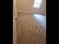 Restore the Beauty of your Carpets 3 room special $130