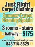 Summer Carpet Cleaning Special 3 rooms stairs hallwayfree Deodorizer $175-Goose Creek & Moncks Corner north Charleston Ladson area