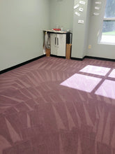 Load image into Gallery viewer, $99 1 room carpet cleaning special Goose Creek Moncks Corner Ladson Hanahan

