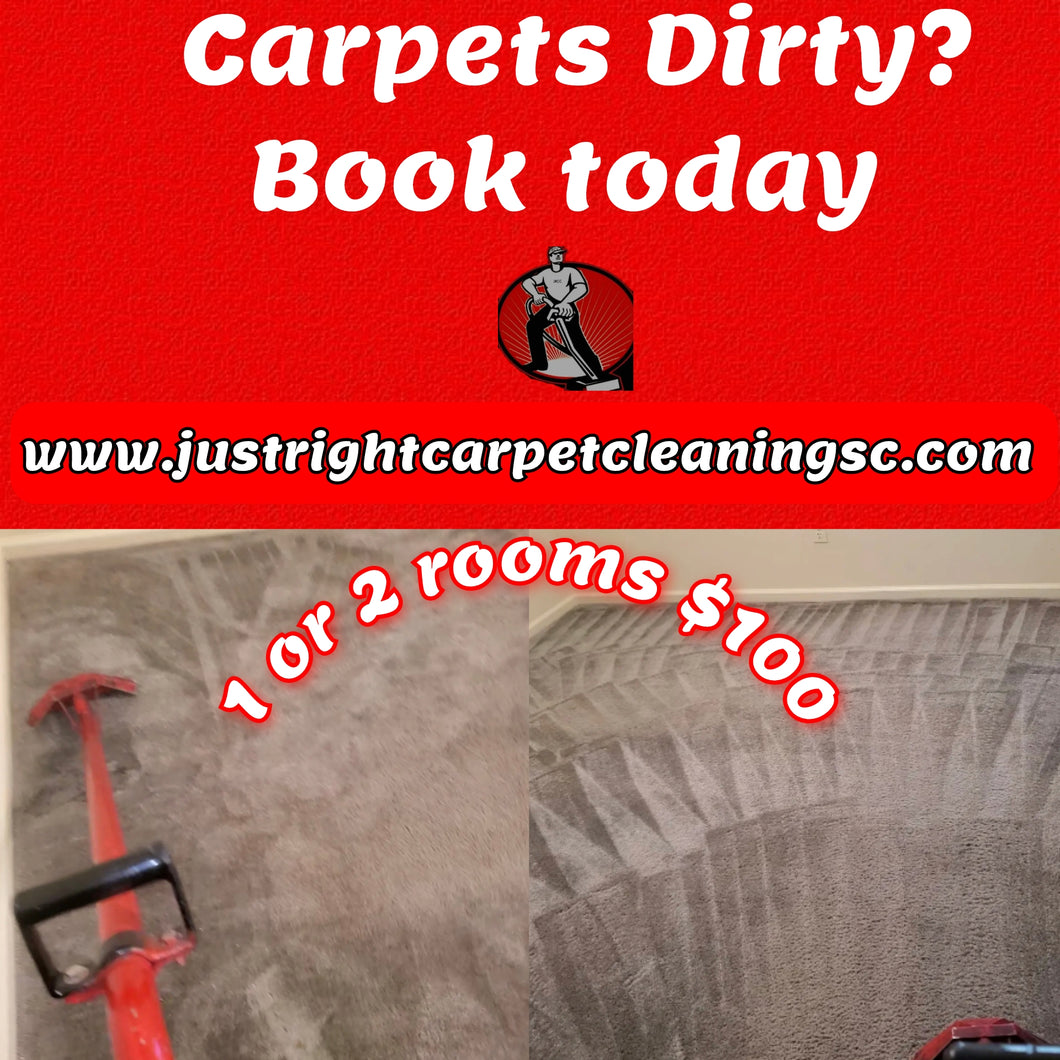 1 or 2 Room Carpet Cleaning $100