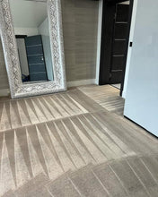 Load image into Gallery viewer, $99 1 room carpet cleaning special Goose Creek Moncks Corner Ladson Hanahan
